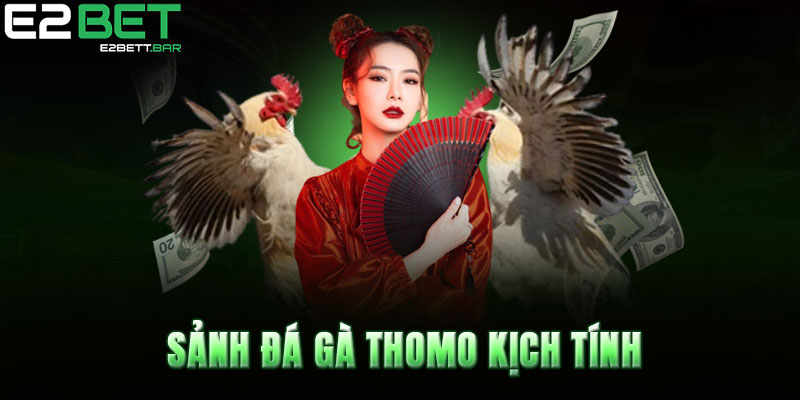 Sảnh đá gà Thomo kịch tính